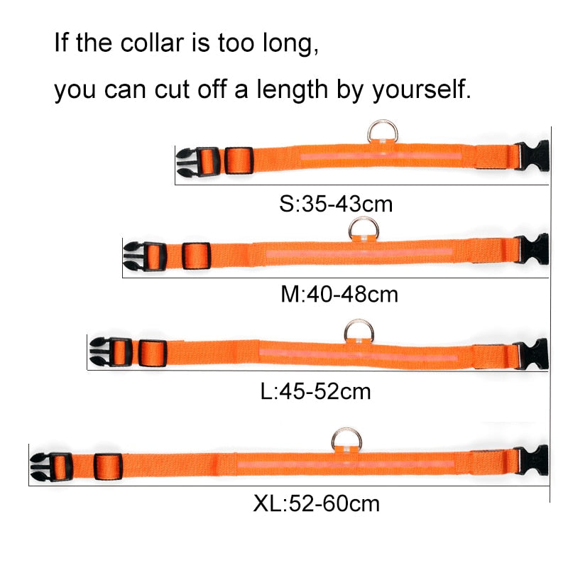 LED Pet Safety Collar — Waterproof Adjustable Glow Collar for Night Walks