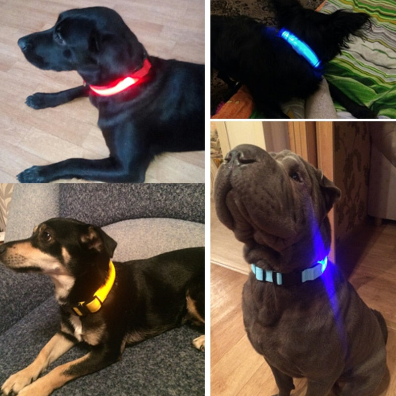 LED Pet Safety Collar — Waterproof Adjustable Glow Collar for Night Walks