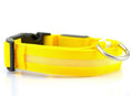 LED Pet Safety Collar — Waterproof Adjustable Glow Collar for Night Walks