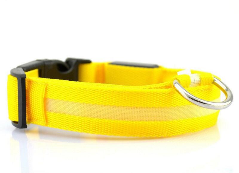 LED Pet Safety Collar — Waterproof Adjustable Glow Collar for Night Walks